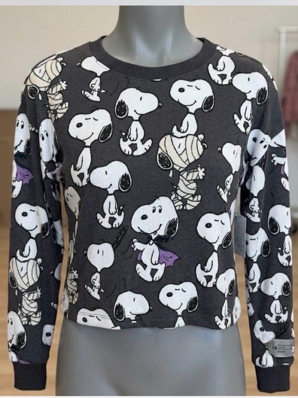 American Eagle AE Lounge × Peanuts Snoopy Halloween Sweater XS